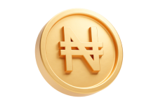 Naira Icon